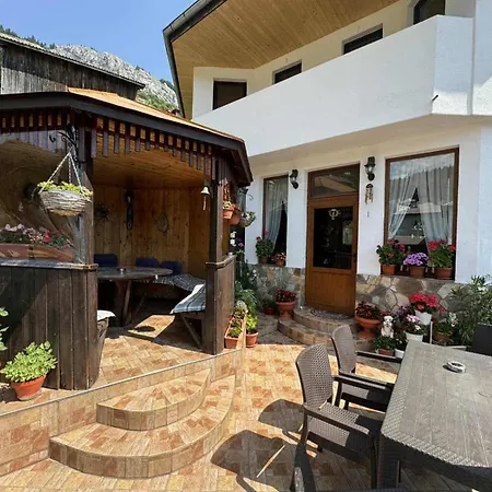 Guest house здравец 3*