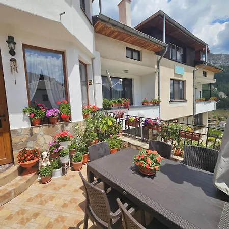 здравец Guest house 3*