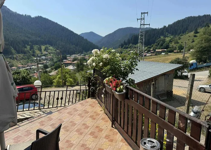 здравец Guest house 3*