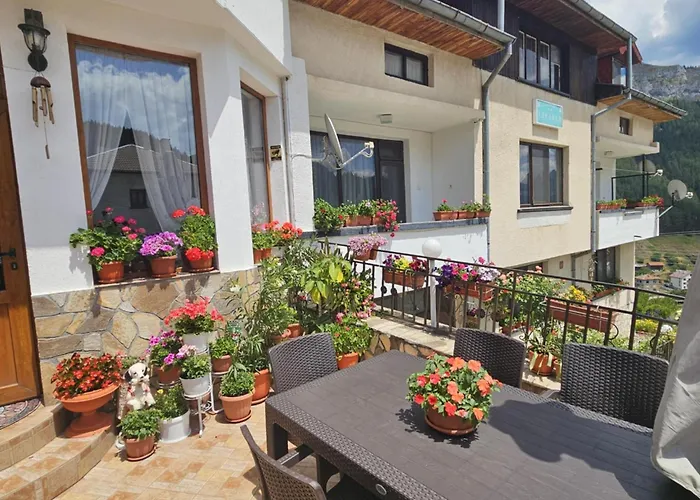 здравец Guest house 3*