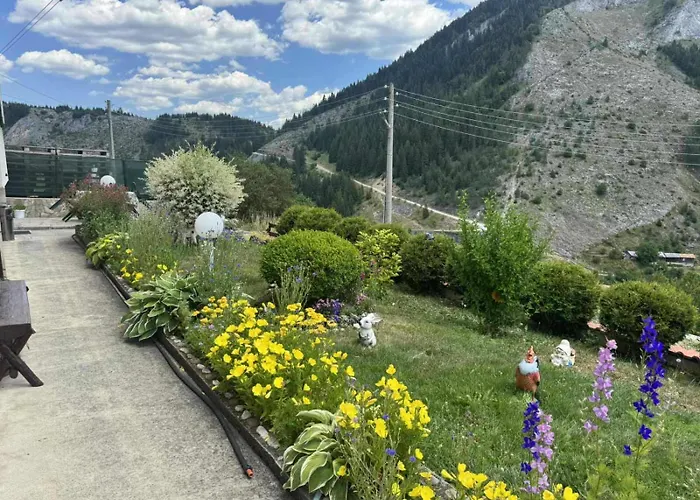 Guest house здравец 3*