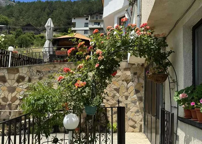 Guest house здравец Trigrad