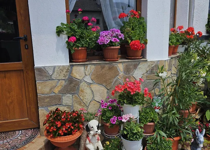 здравец Guest house Trigrad