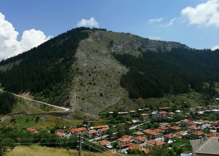 здравец Guest house