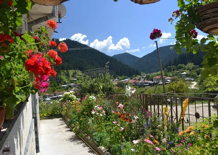 здравец Guest house