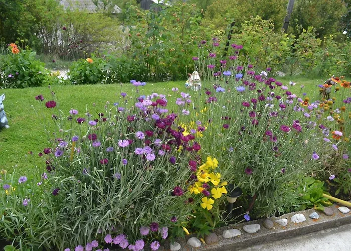 здравец Guest house