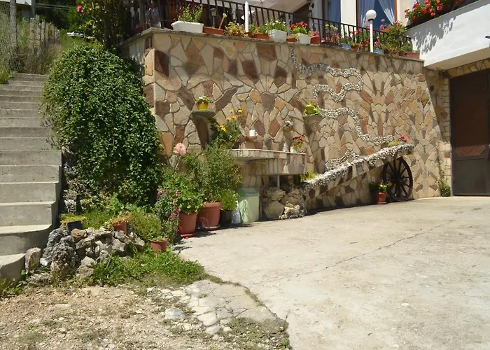 здравец Guest house 3*